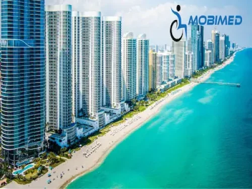 miami_port_scooter_rental_cruise